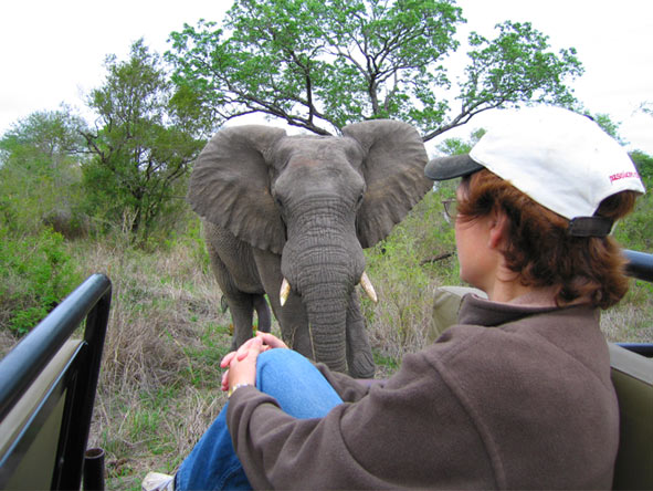 Madelein Norval - face to face with Africa's biggest of the Big 5